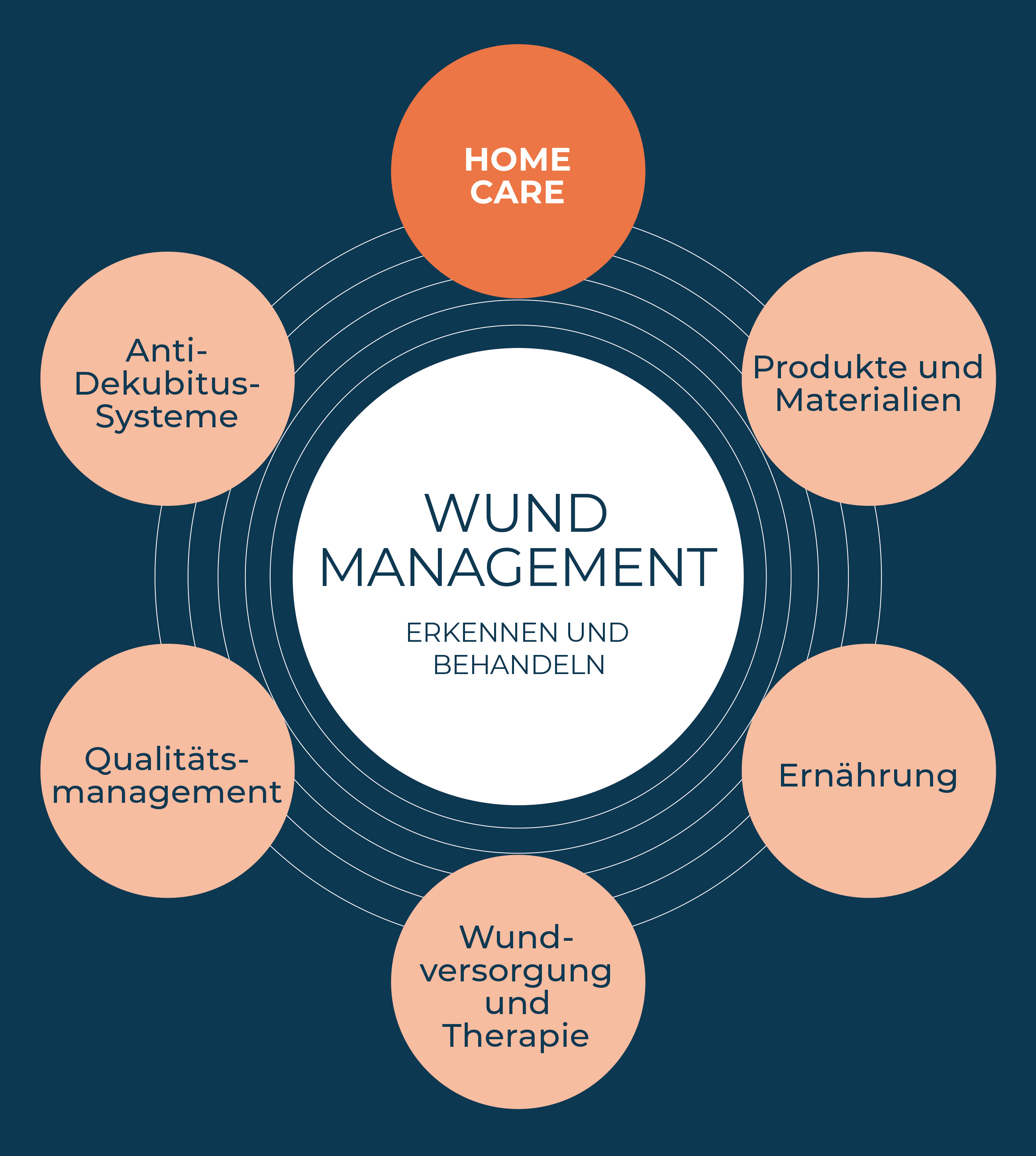 Diagramm zum Wundmanagement mit den Bereichen Anti-Dekubitus-Systeme, Produkte und Materialien, Ernährung, Qualitätsmanagement sowie Wundversorgung und Therapie.
